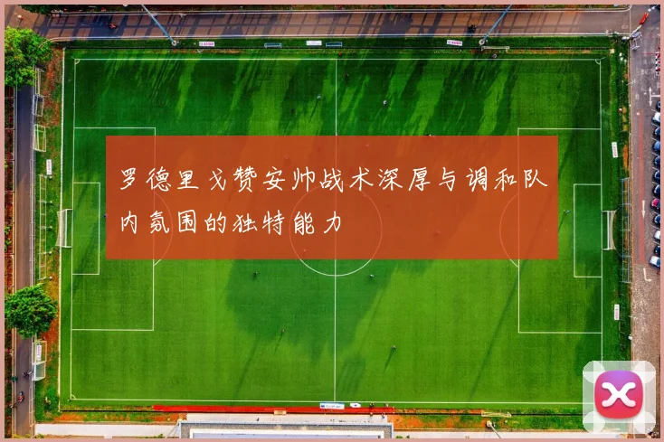 罗德里戈赞安帅战术深厚与调和队内氛围的独特能力