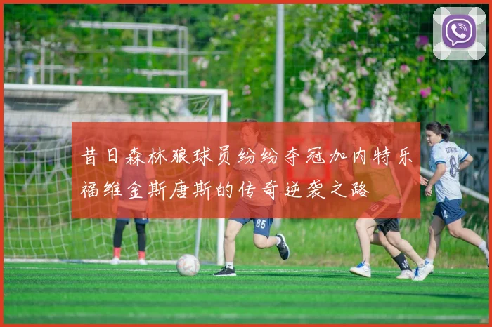 昔日森林狼球员纷纷夺冠加内特乐福维金斯唐斯的传奇逆袭之路