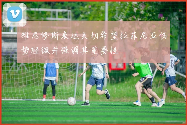 维尼修斯表达关切希望拉菲尼亚伤势轻微并强调其重要性
